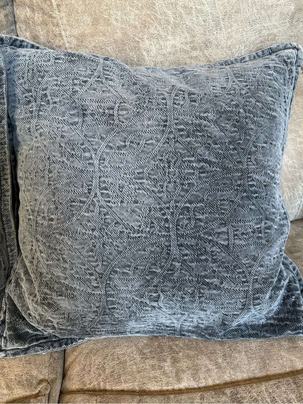 Pottery Barn Chenille Jaquard pillow cover and interior pillow
